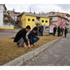 Afşin'de 15 Bin Lale, Nergis Ve Sümbül Soğanı Ekiliyor Afşin'de 15 Bin Lale, Nergis Ve Sümbül Soğanı Ekiliyor