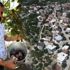 Hasat için geliyorlar... Köyün nüfusu 3 katına çıkıyor Hasat için geliyorlar... Köyün nüfusu 3 katına çıkıyor