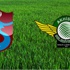 Trabzon ile Akhisar'ın 6. sınavı