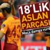 18'lik aslan parçası