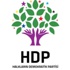 O isim HDP'den aday oldu! O isim HDP'den aday oldu!
