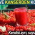 Gilaburu meyvesi kanserden koruyor