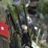 Sözleşmeli Er ikinci seçim aşamaları ileri bir tarihe ertelendi Sözleşmeli Er ikinci seçim aşamaları ileri bir tarihe ertelendi