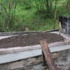 Savcıyı şehit eden teröristin mezarına beton döküldü Savcıyı şehit eden teröristin mezarına beton döküldü