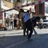 Samsun'da belediye önünde darbedilen kişi ile belediye meclis üyesi silahla yaralandı Samsun'da belediye önünde darbedilen kişi ile belediye meclis üyesi silahla yaralandı