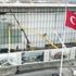 Opera değil, kültür adına her şey var