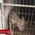 Karga, CHP'nin 'hayır' pankartını kesti