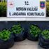 Hırsızlık şüphelisi çaldığı 120 kilo avokado ile yakalandı Hırsızlık şüphelisi çaldığı 120 kilo avokado ile yakalandı