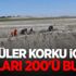 Köylüler korku içinde, sayıları 200'ü buldu!