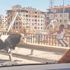 Kaçan dana karayolunu birbirine kattı Kaçan dana karayolunu birbirine kattı