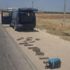 Afrin'de TSK, MİT ve ÖSO'dan ortak operasyon Afrin'de TSK, MİT ve ÖSO'dan ortak operasyon