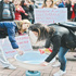 Üniversitelilerden makarnalı protesto Üniversitelilerden makarnalı protesto