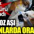 ﻿İki doz aşı olanlarda oran ne