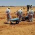 Libya'da yeni iki toplu mezar bulundu