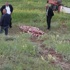 Kullandığı Traktörün Altında Kalan Çiftçi Öldü Kullandığı Traktörün Altında Kalan Çiftçi Öldü