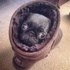 Yalnızca Pug cinsi köpeği olanların anlayabileceği 15 şey Yalnızca Pug cinsi köpeği olanların anlayabileceği 15 şey
