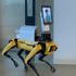 Dr. Spot adlı robot, hastaları muayene ediyor, tıbbi müdahalede bulunuyor Dr. Spot adlı robot, hastaları muayene ediyor, tıbbi müdahalede bulunuyor