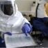 Ebola virüsü öldürmeye devam ediyor Ebola virüsü öldürmeye devam ediyor