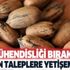 Olmaz deyip geçmeyin sipariş yağıyor! Mühendisliği bıraktığı günden itibaren parayı buldu! 40 çeşit... Olmaz deyip geçmeyin sipariş yağıyor! Mühendisliği bıraktığı günden itibaren parayı buldu! 40 çeşit...