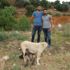 Aydın'da canını hiçe sayıp yavru köpekleri kurtardı Aydın'da canını hiçe sayıp yavru köpekleri kurtardı