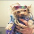 Moda haftasında köpekler de var Moda haftasında köpekler de var