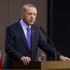 Erdoğan, 133. Genişletilmiş İl Başkanları Toplantısında konuşuyor