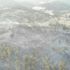 Çanakkale'de 2,5 hektar ormanlık alan yandı