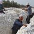 Çin, 570.000 Uygur Türkünü zorla pamuk tarlalarında çalıştırmış Çin, 570.000 Uygur Türkünü zorla pamuk tarlalarında çalıştırmış