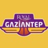 Royal Halı Gaziantep'in Avrupa heyecanı Royal Halı Gaziantep'in Avrupa heyecanı