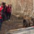 Bitlis’in maskotu ayılar kavurmayla besleniyor