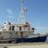 Marmara Denizi'nde oksijen azlığı tehlikesi artıyor