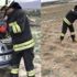 Arabasından 2 metre yılan çıktı!