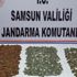 2 bin 333 tarihi sikke yakalandı