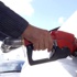 Petrol fiyatları yeniden düşmeye başladı Petrol fiyatları yeniden düşmeye başladı
