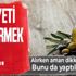 Gıda teröristlerinden akılalmaz hile! Zeytinyağı alırken aman dikkat! Maliyeti düşürmek için...