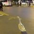 Sahibinin elinden kaçan kaz, trafiği birbirine kattı