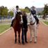 Öğrencilerin sömestir tatilinde Pony Park keyfi