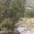 Yer: Adıyaman! Ormanlık alanda bu halde bulundu Yer: Adıyaman! Ormanlık alanda bu halde bulundu