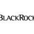 Blackrock Türkiye'ye gelecek