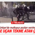 Atina'da polise uçan tekme atan Yunan çiftçi