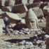 Nemrut kazılarının yarım asırlık görüntüleri bulundu