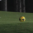 Fenerbahçeli futbolcular FootGolf oynadı Fenerbahçeli futbolcular FootGolf oynadı