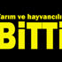 AB sevdasına tarım ve hayvancılık bitti