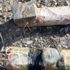 PKK'lı teröristlerin tuzakladığı 300 kilogram patlayıcı imha edildi