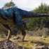Dinozorlar ve insanlar bir arada yaşamış olabilir mi? Dinozorlar ve insanlar bir arada yaşamış olabilir mi?