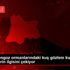İğneada longoz ormanlarındaki kuş gözlem kulesi ziyaretçilerin ...