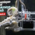Sony'nin eğittiği ahtapot fotoğraf çekiyor Sony'nin eğittiği ahtapot fotoğraf çekiyor