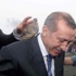 Cumhurbaşkanı Erdoğan'ın başına keklik kondu Cumhurbaşkanı Erdoğan'ın başına keklik kondu