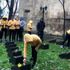 Kadın futbolcular, kadın şehitlerin mezarını ziyaret ...