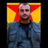 PKK'nın üst düzey ismi öldürüldü
